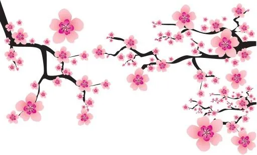 樱花 PNG免抠(7165x4313)