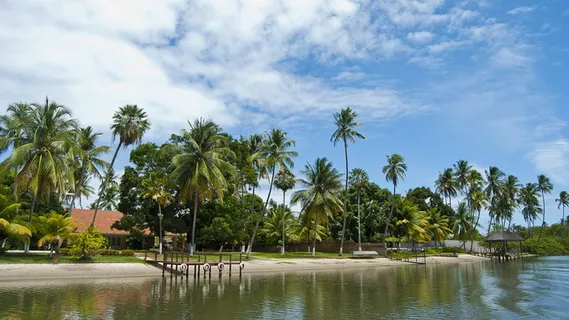 海边的林子 海边的林子