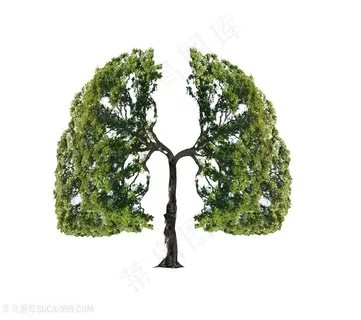 创意树木肺图片