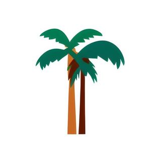 椰子树棕榈树免抠