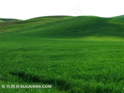 一望无际的绿草地高清图片 一望无际的绿草地高清图片