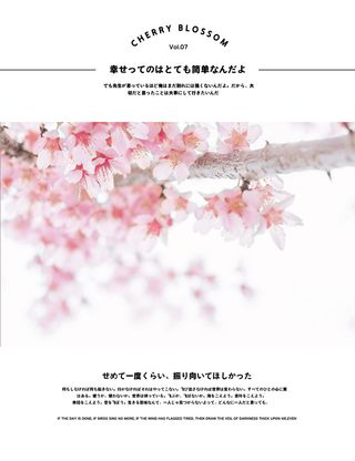 文艺清新海报模板日系排版13