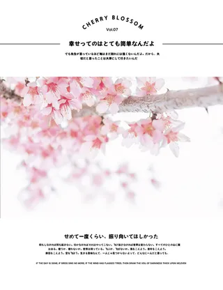 文艺清新海报模板日系排版13