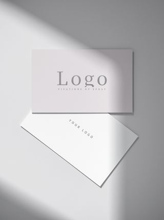 高端大气商务名片样机