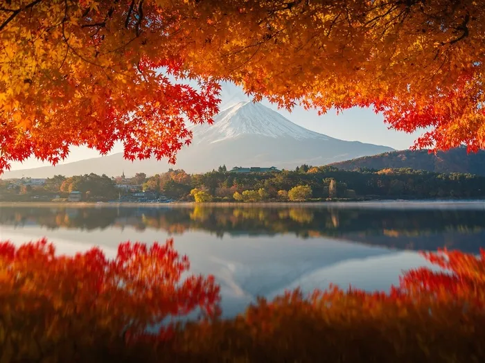 湖畔红叶枫林风景图片