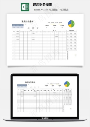 通用财务报表