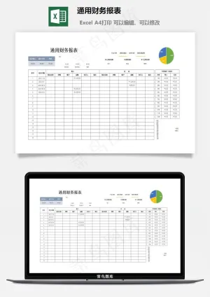 通用财务报表