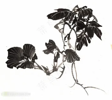 中国风水墨植物花卉绘画高清图片