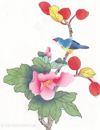 花卉时尚花鸟艺术装饰画