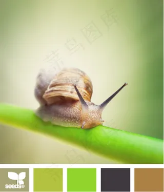 动物配色色卡色彩搭配