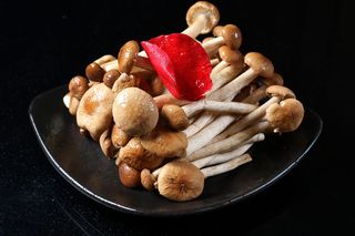 蘑菇香菇金针菇杂菇菌类美食素菜