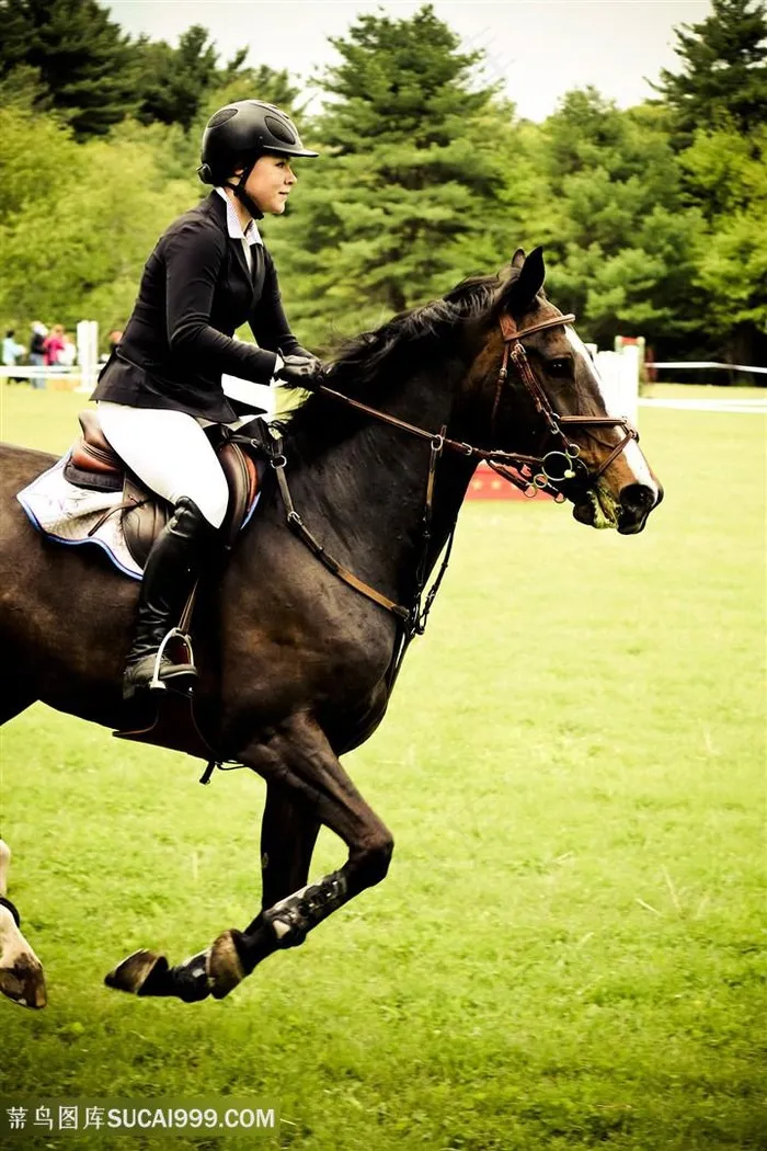 骑着黑色骏马的美女图片