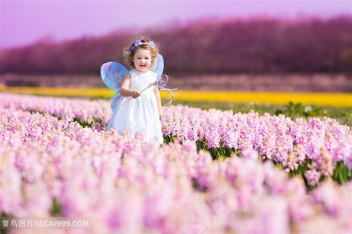 女孩写真与花海高清图片儿童图片