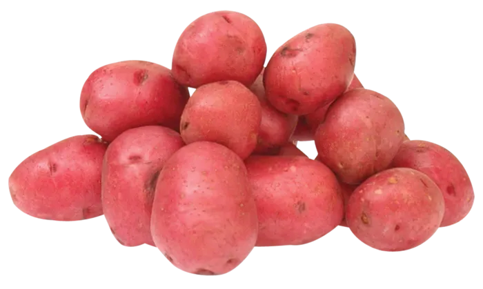 土豆红色蔬菜