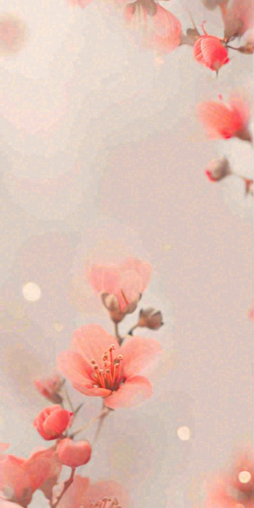 简约花朵鲜花纹理背景(729x1456)