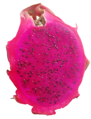 半个紫红色新鲜火龙果免抠摄影元素素材