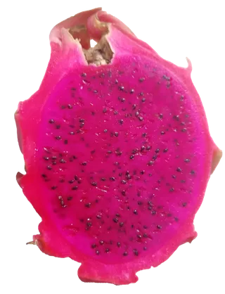 半个紫红色新鲜火龙果免抠摄影元素素材