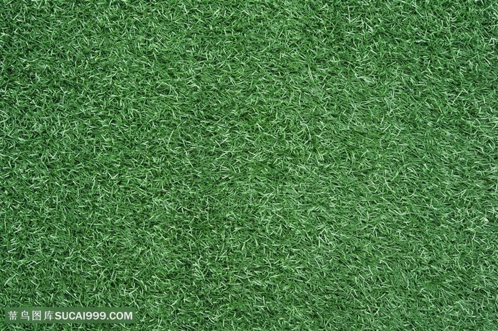 草地背景高清图片