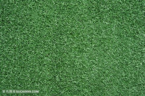 草地背景高清图片