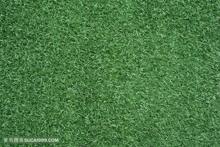 草地背景高清图片