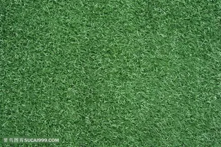 草地背景高清图片