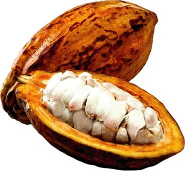 可可 PNG免抠(369x340)