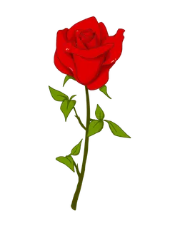 鲜花玫瑰免扣素材