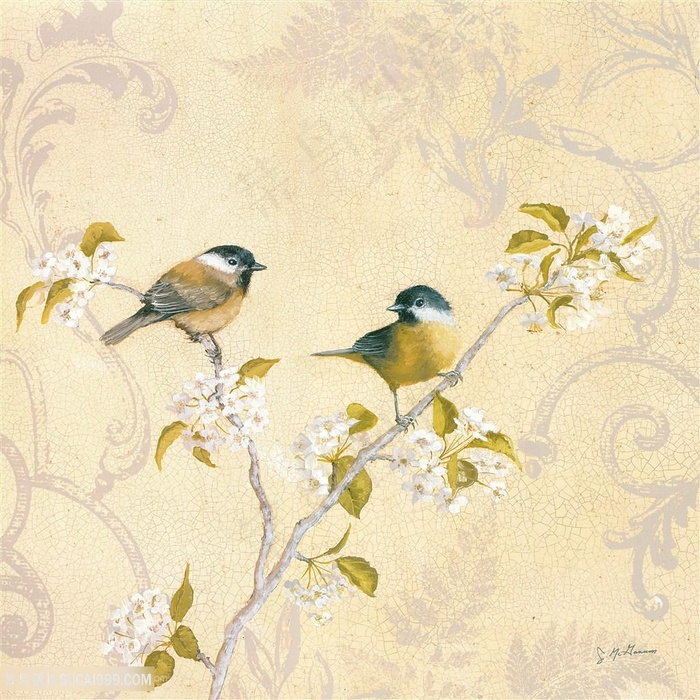 欧式花鸟装饰画