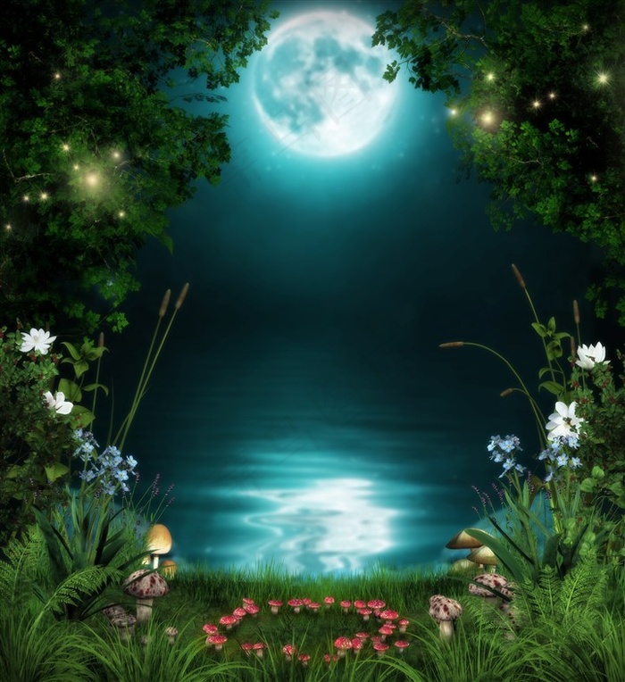 夜晚的月亮和草地上盛开的花朵高清图片