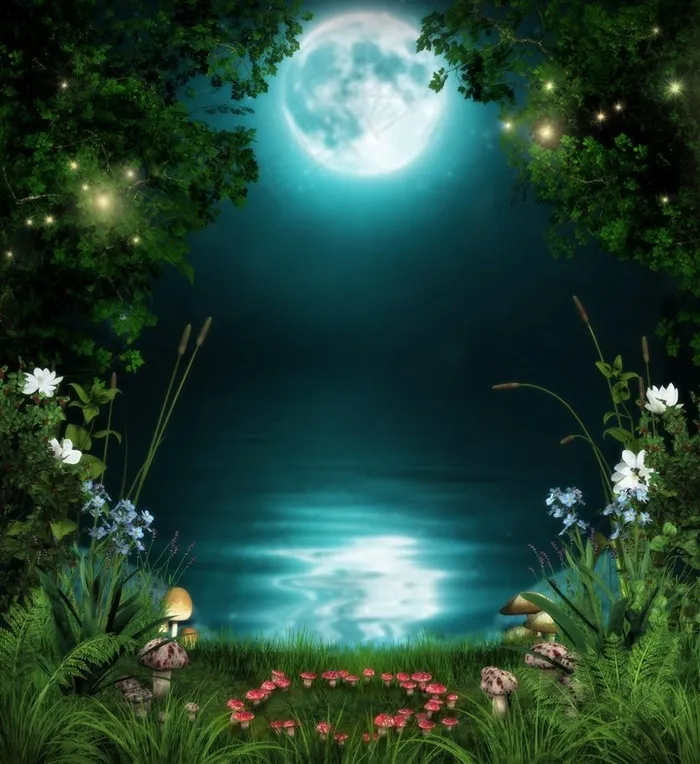 夜晚的月亮和草地上盛开的花朵高清图片