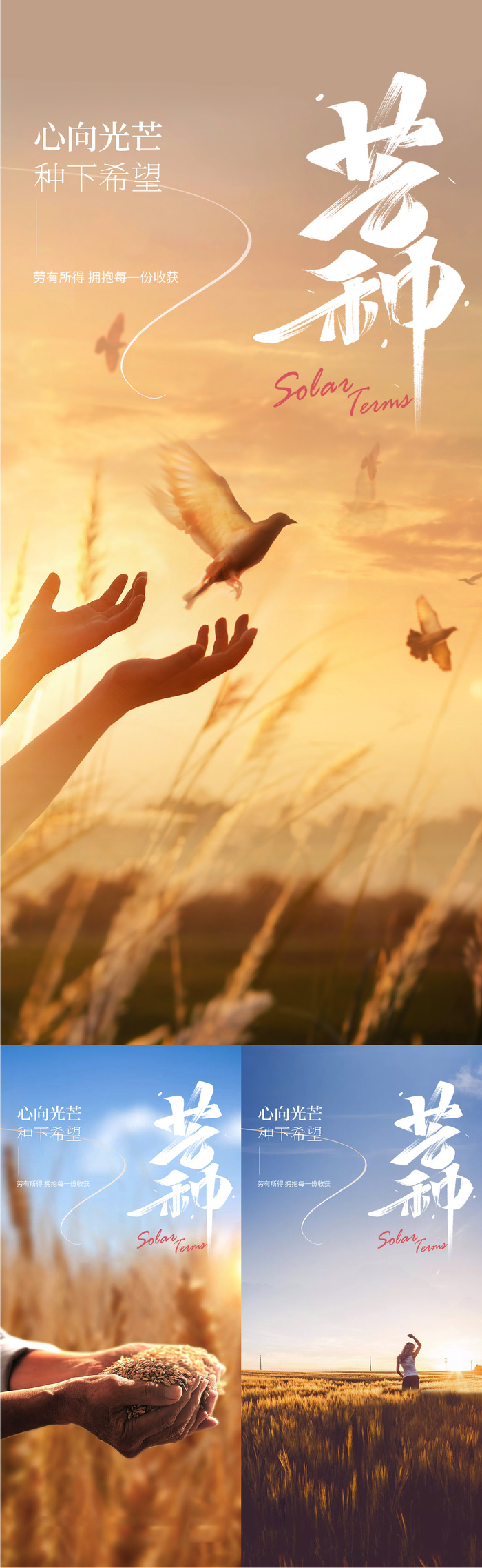 大气金色节气芒种农民丰收双手实景系列长图海报