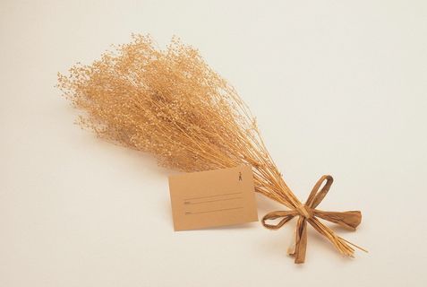 图片设计素材背景2.14情人节