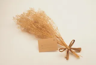 图片设计素材背景2.14情人节