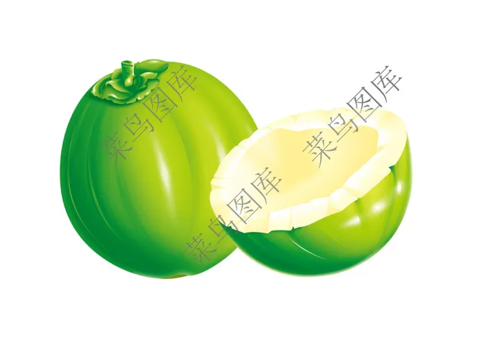 椰子高清图psd模版下载
