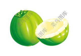 椰子高清图