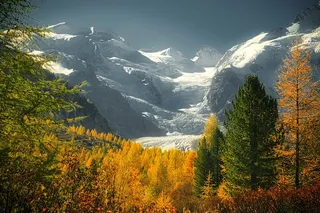 冬天自然背景风景