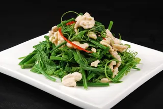 LCSC3097桃仁龙须菜