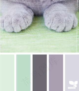 动物配色色卡色彩搭配