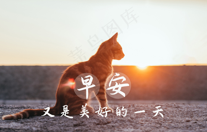 早安打卡文字图片