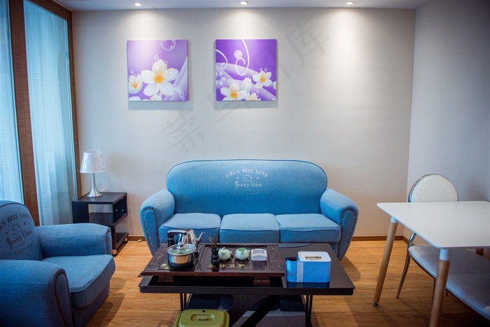 公寓客厅之沙发