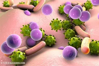细菌病毒高清图片