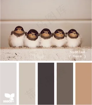 动物配色色卡色彩搭配