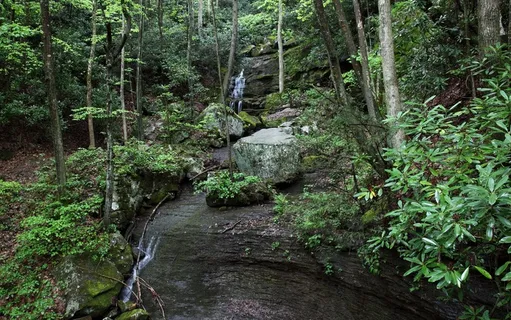 山林细流风景图片 山林细流风景图片