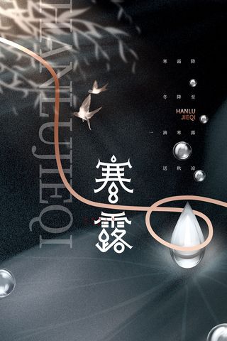 黑白色传统24节气寒露海报