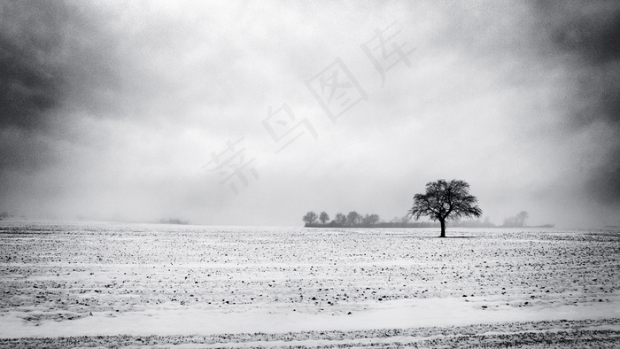 雪地天空黑白