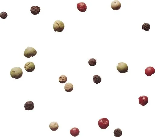黑胡椒 PNG免抠(2216x1960)