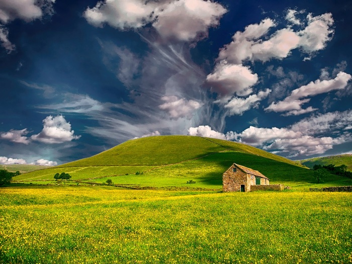 冬天白色背景风景