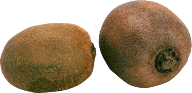 猕猴桃免抠素材 (7)