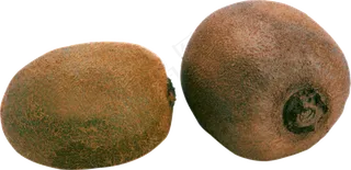 猕猴桃免抠素材 (7)