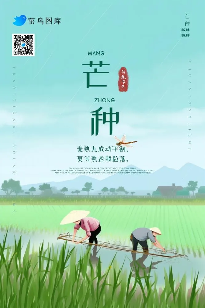 芒种节气雨天农民插秧海报(2000x3000)psd模版下载